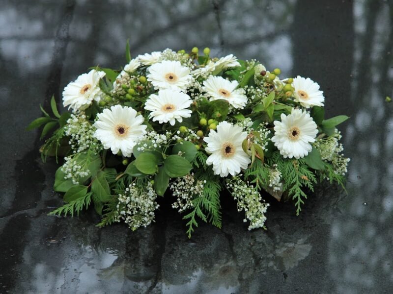 Care Cremation Service