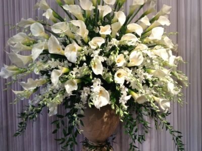 Scarpaci Funeral Home Inc