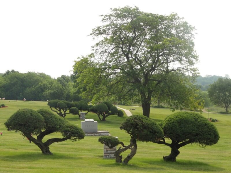 Sunset Memorial Chapel
