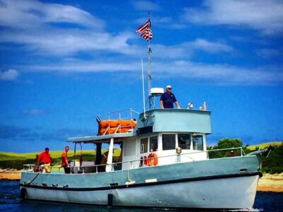 SwanSong Burial at Sea