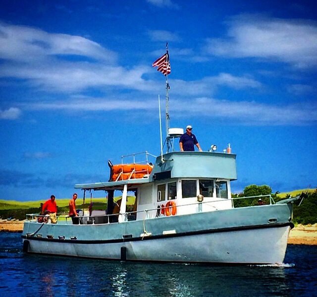 SwanSong Burial at Sea