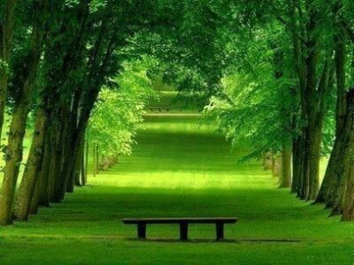 Rebirth Memorial Park