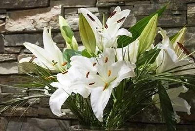 Brian McElroy Funeral Directors