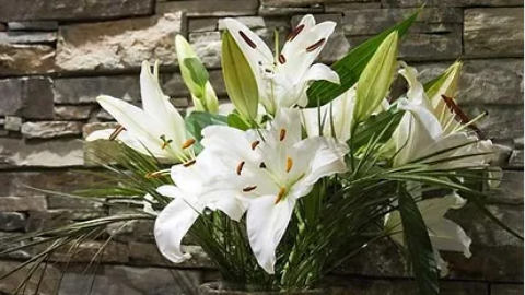 Brian McElroy Funeral Directors