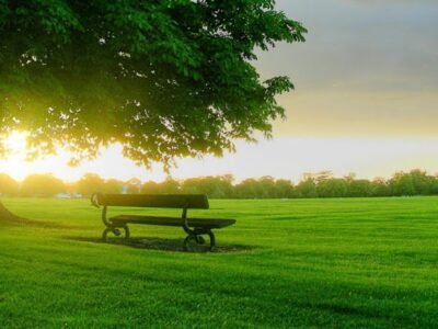 Legends Tri-County Funeral Services