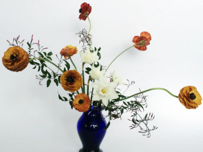 Meadow Memorials - Cremations and Funerals