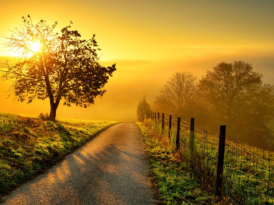 Life Begins4u