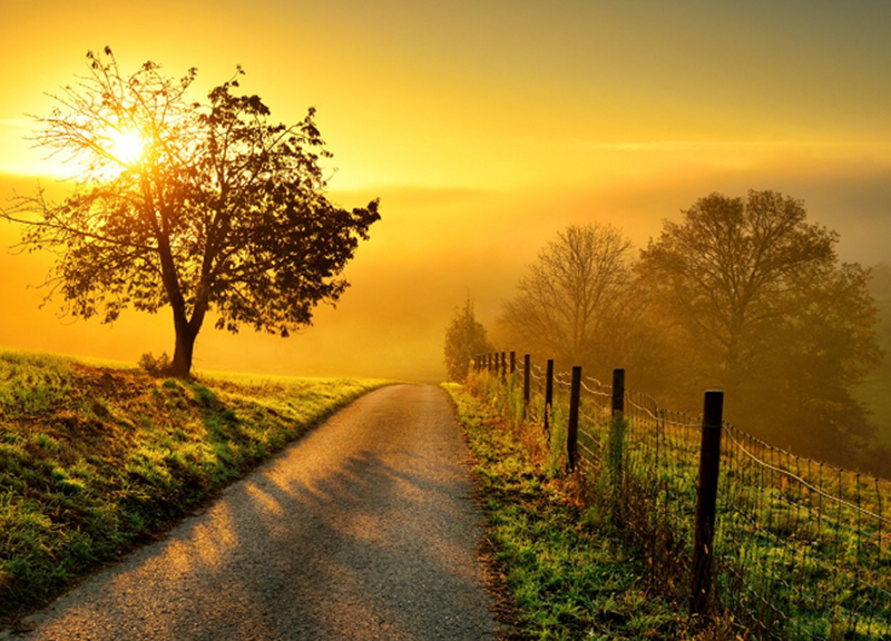 Life Begins4u