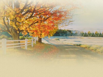 Gallagher Funeral Home Inc