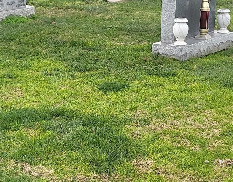 Oak Hill Funeral Home & Memorial Park