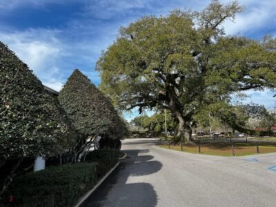 O'Bryant-O'Keefe Funeral Home