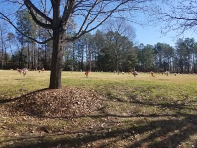 Northlake Memorial Gardens