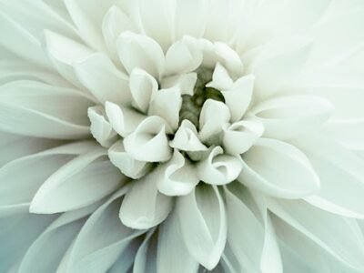 M J R Friendly Service Funeral Homes