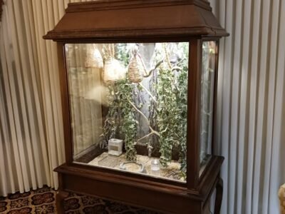 Schepner Mcdermott Funeral Home
