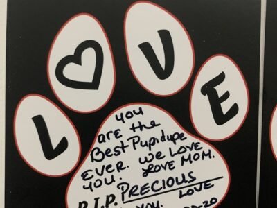 Pet Cremation of Kissimmee