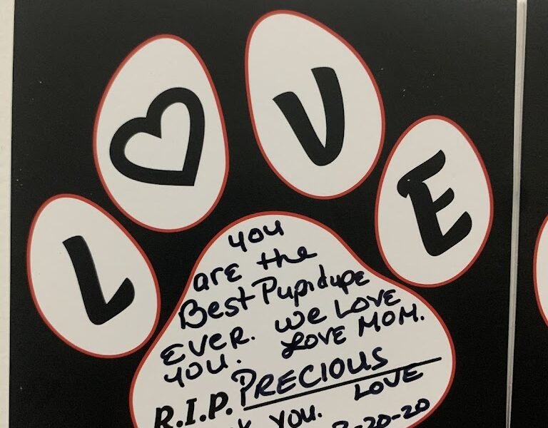 Pet Cremation of Kissimmee