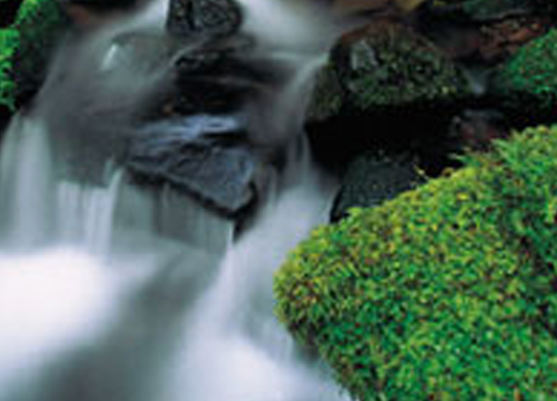 Falls Funeral Home & Cremation Center