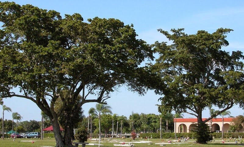 Graceland Memorial Park South