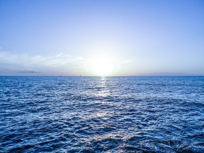 Cremations of Tampa