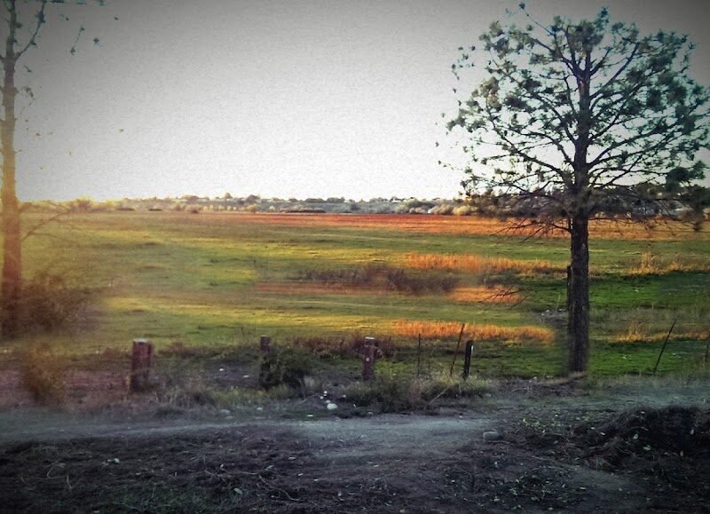 Potter Funeral Chapel