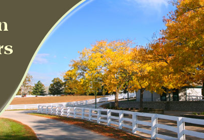 Heeney-Laughlin Funeral Directors
