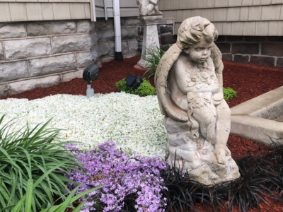 David F. Koch Funeral & Cremation Services