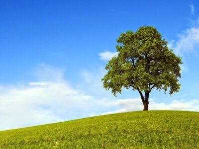 All County Cremation & Burial