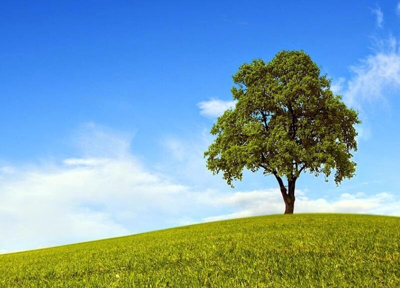 All County Cremation & Burial