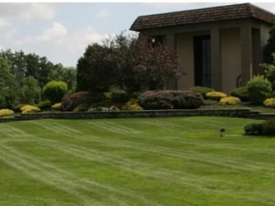 Tomon & Sons Funeral Homes