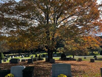 Woodlawn - North Purchase Cemetery