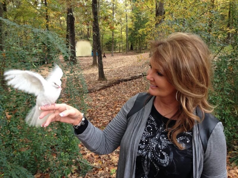 Wings of Grace White Dove Releases