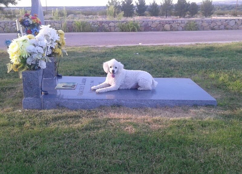 Memorial Pines Cemetery