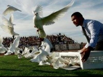 Heavenly Doves