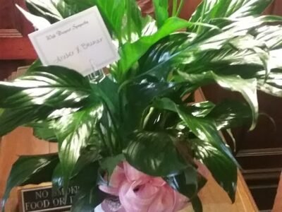 Bowen-Donaldson Funeral Home - W Bruce Donaldson III