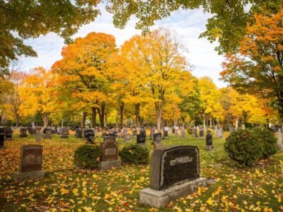 Cole Funeral Services