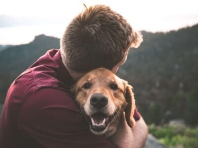 Woodglen pet cremation & Funeral Home