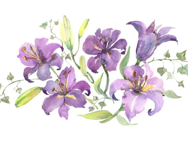 Simple Traditions Inc.