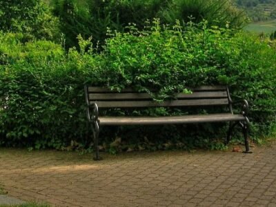 White's Funeral and Cremation Services