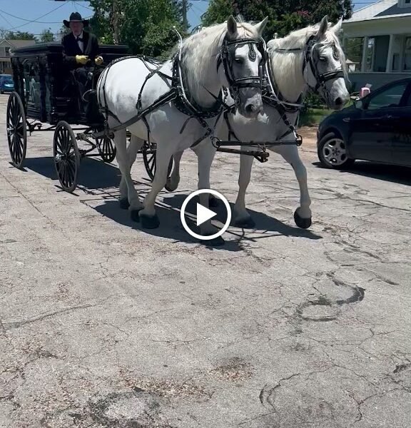Killeen Funeral Home Serenity Life Celebrations Funeral Home