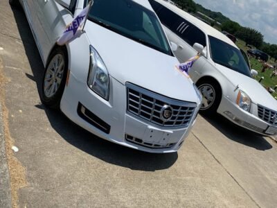 A. Hamilton Platinum Funeral Service