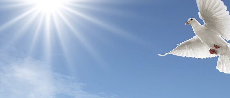 FairHaven Funeral Home & Cremation Services