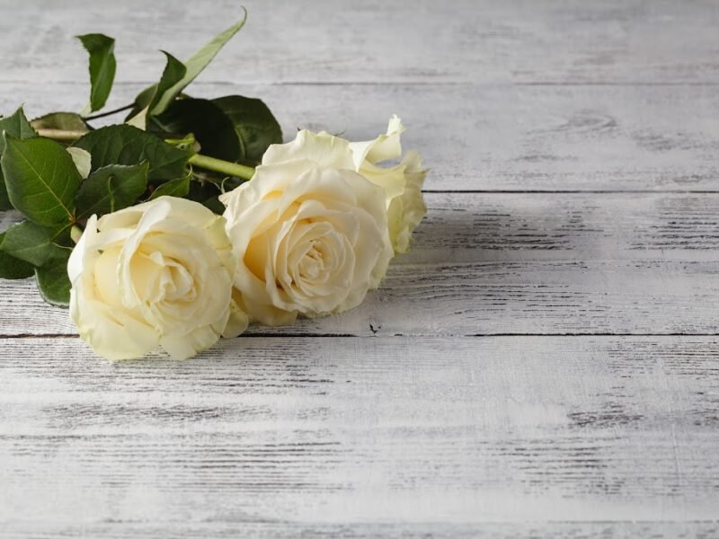 Johnston Funeral Home