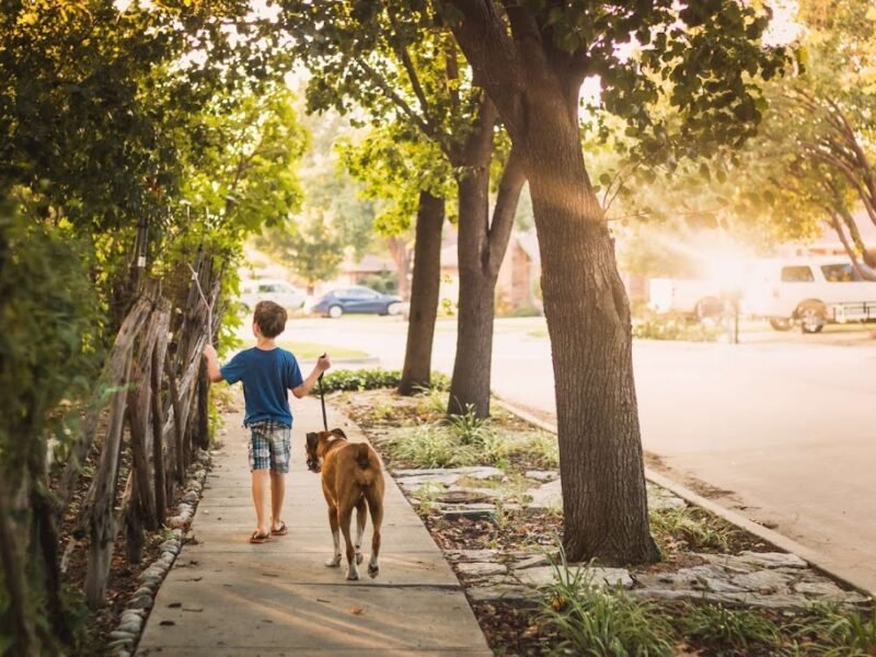 Precious Pets Cremation Services