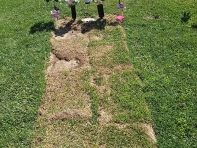 Turlock Memorial Park
