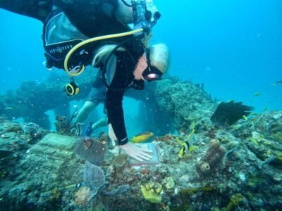 Neptune Memorial Reef