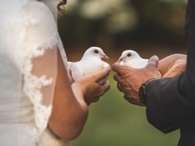 White Doves Florida