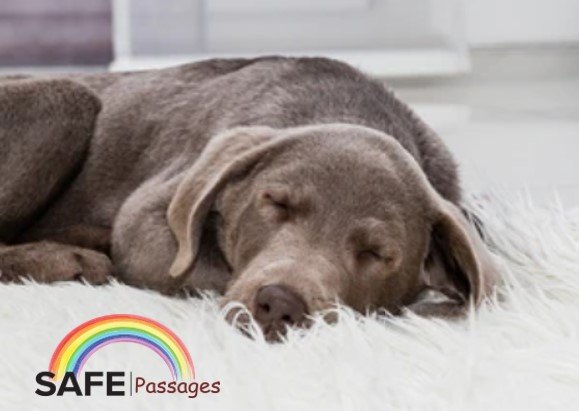 SafePassages Pet Cremation