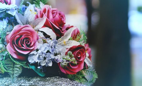 Thomas C Strickland & Sons