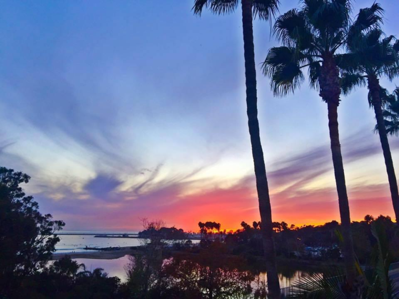 Opal Cremation of Orange County