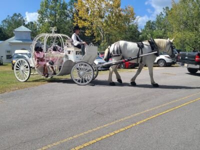 Horse and Hearse Funeral Services